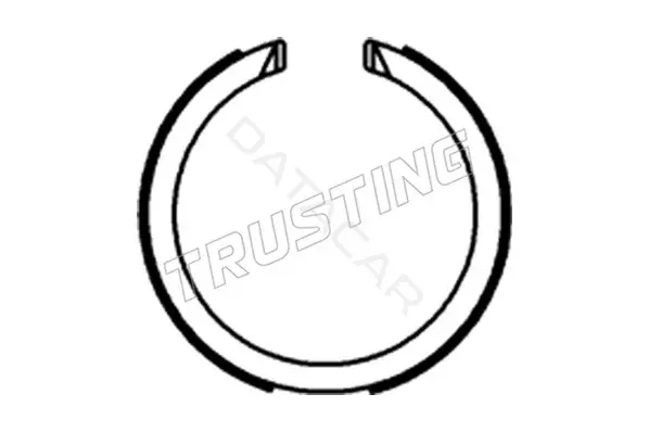 Барабанные колодки TRUSTING 253.712