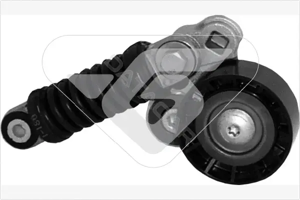 Натяжитель ремня генератора HUTCHINSON T2008