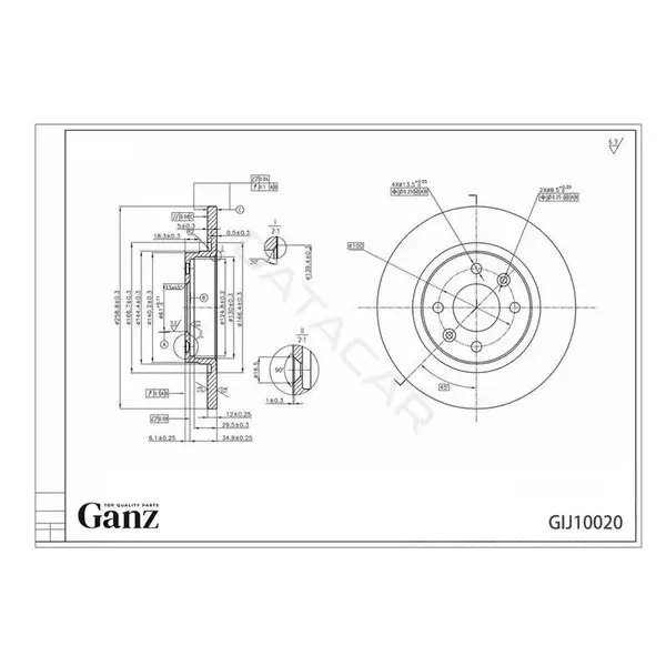 Тормозные диски GANZ GIJ10020