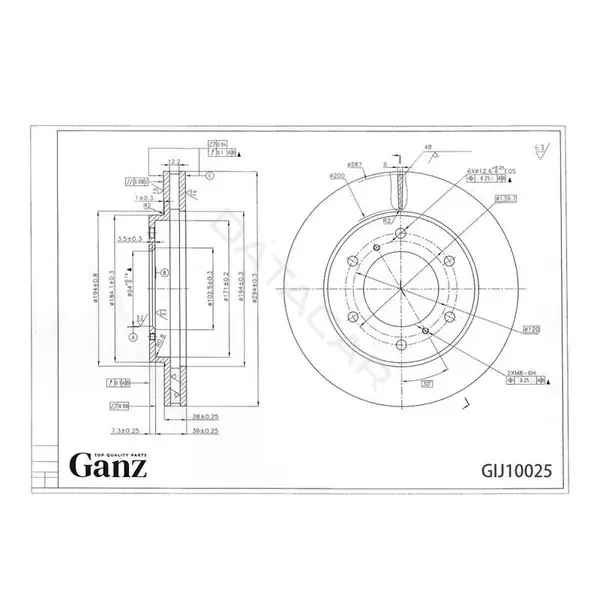 Тормозные диски GANZ GIJ10025