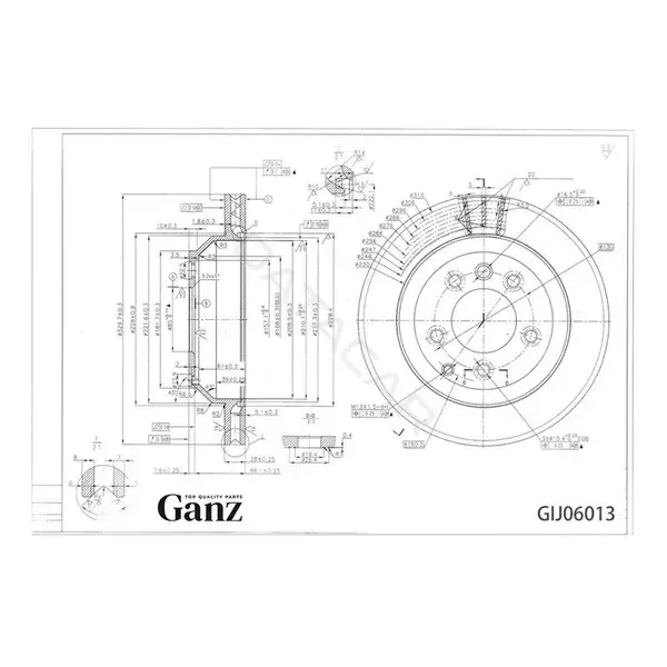 Тормозные диски GANZ GIJ06013