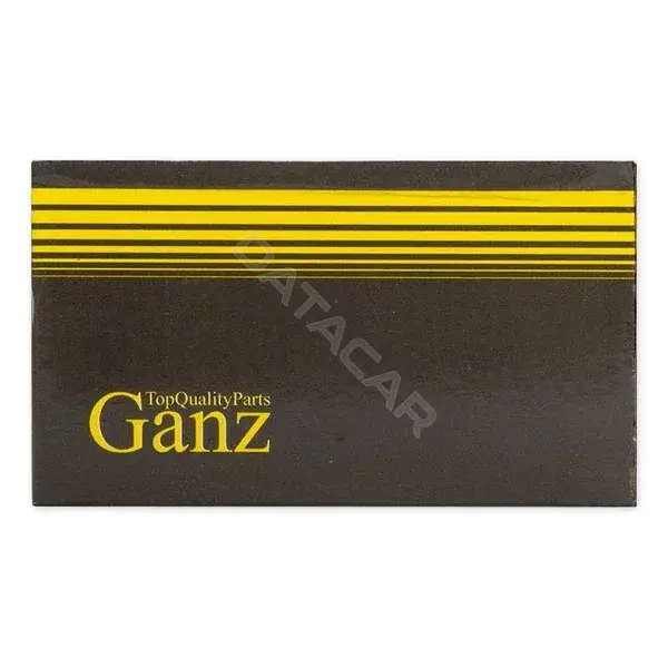 Термостат GANZ GIF08010
