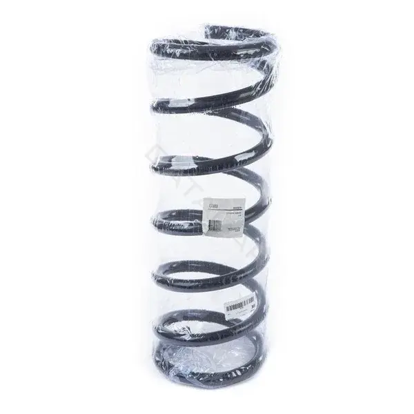 Пружины GANZ GIK02079