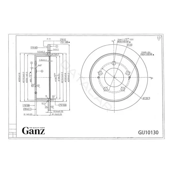 Тормозные диски GANZ GIJ10130