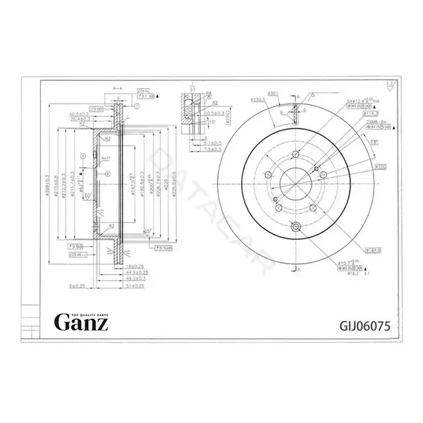 Тормозные диски GANZ GIJ06075