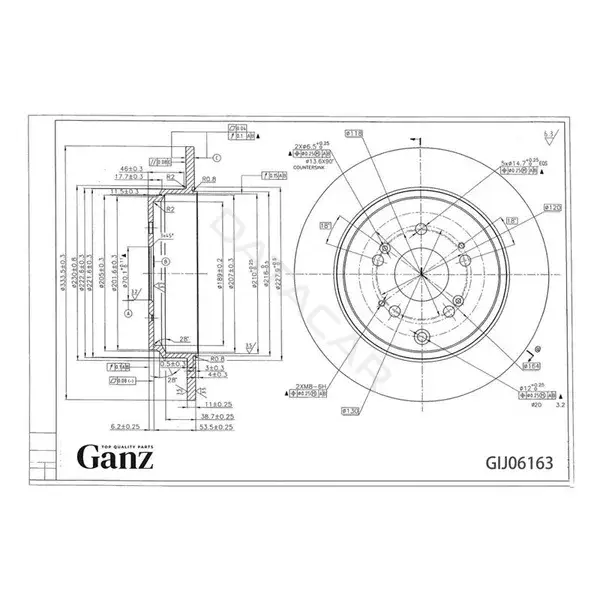 Тормозные диски GANZ GIJ06163