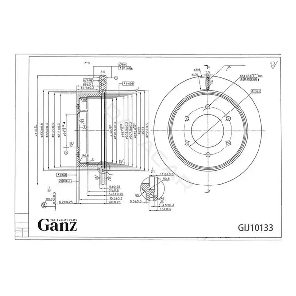 Тормозные диски GANZ GIJ10133