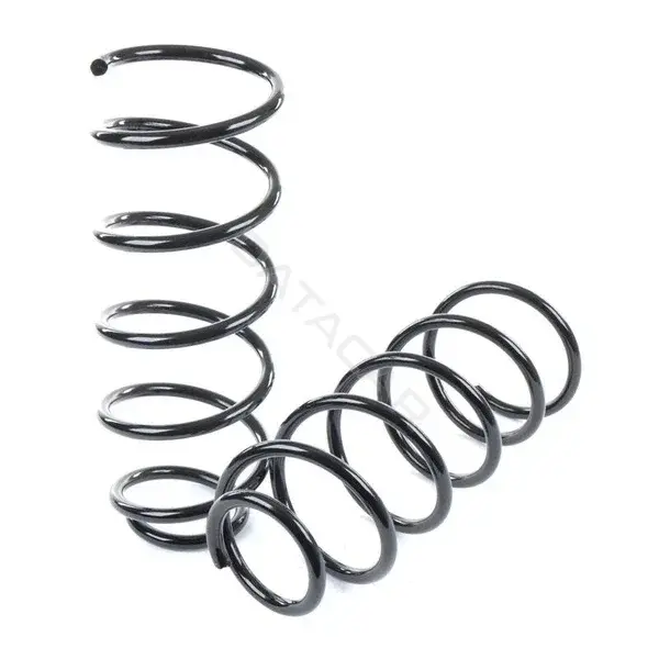 Пружины GANZ GIK02150