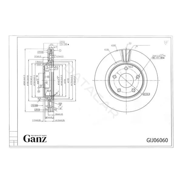 Тормозные диски GANZ GIJ06060