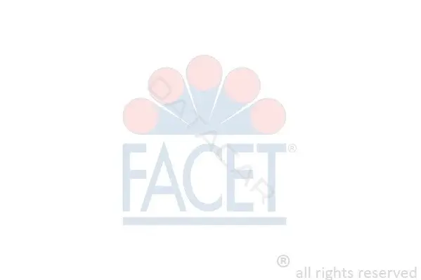 Катушка зажигания FACET 9.6486