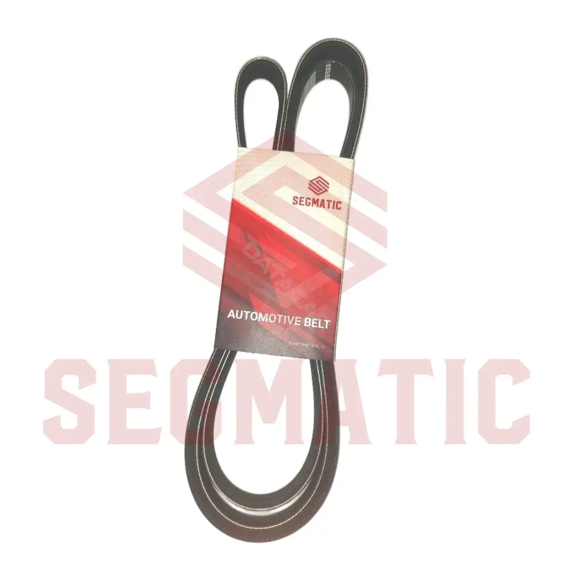 Ремень ручейковый SEGMATIC SGSB3056