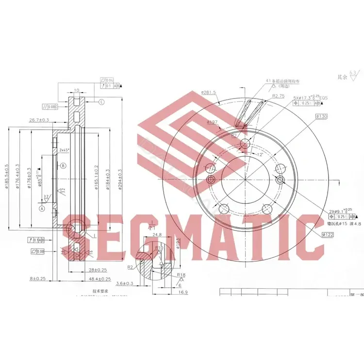 Тормозные диски SEGMATIC SBD30093098