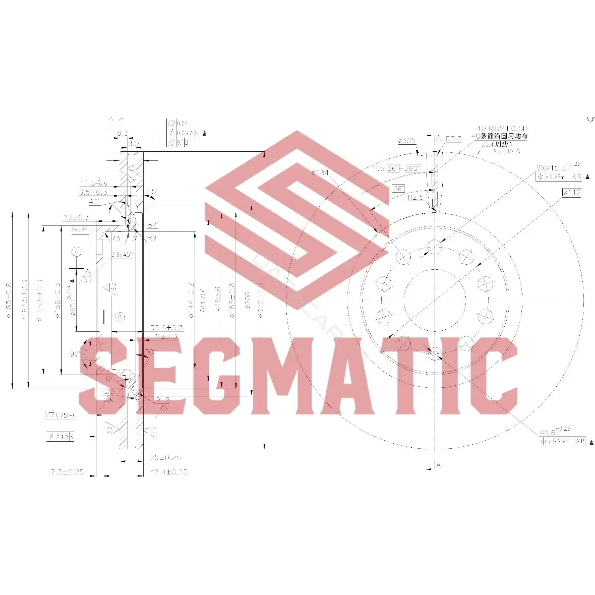 Тормозные диски SEGMATIC SBD30093011