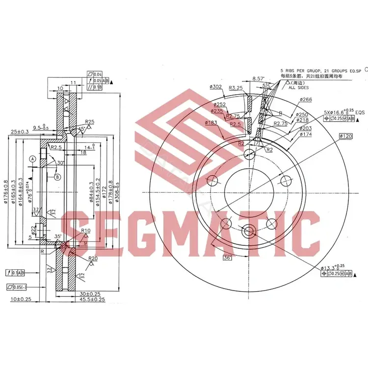 Тормозные диски SEGMATIC SBD30093206