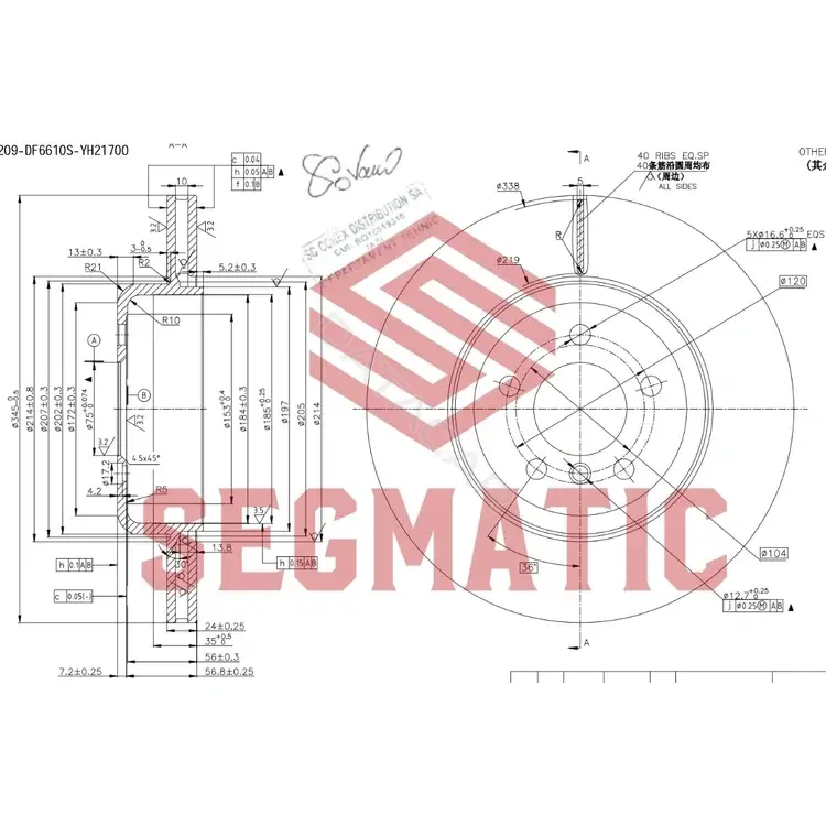 Тормозные диски SEGMATIC SBD30093241