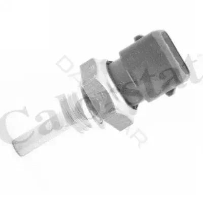 Датчик температуры охлаждающей жидкости VERNET-CALORSTAT WS3002