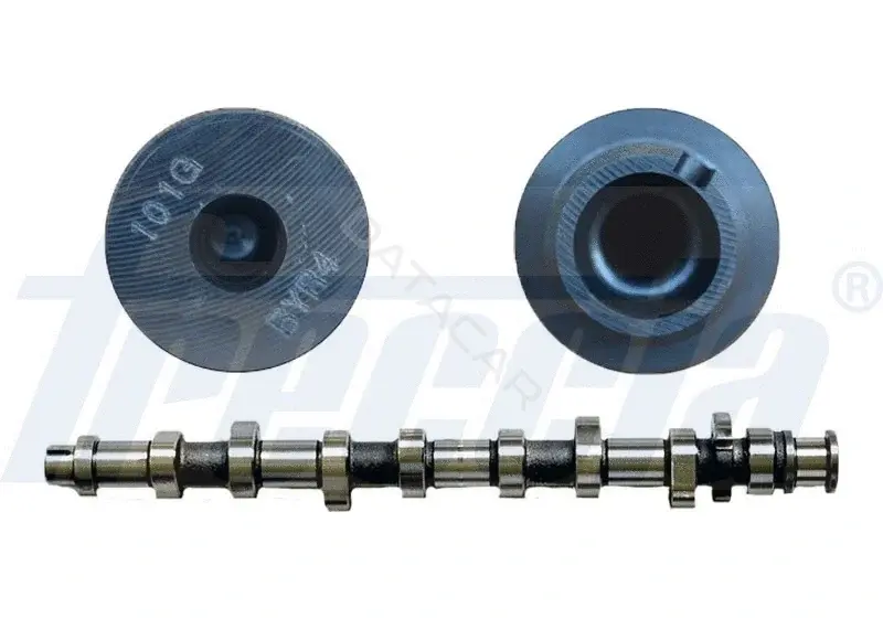 Распредвал FRECCIA CM05-2191