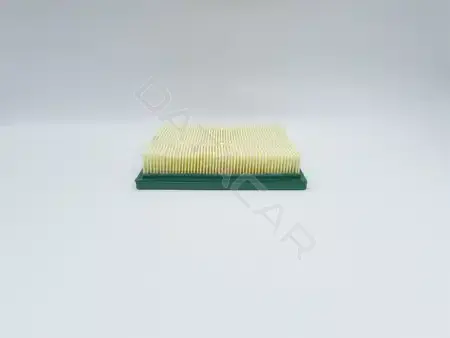 Воздушный фильтр BIG FILTER GB-9663
