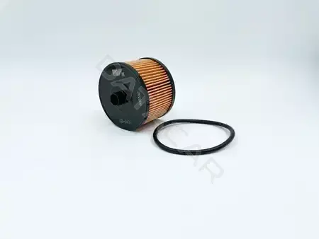 Топливный фильтр BIG FILTER GB-6430