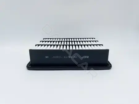 Воздушный фильтр BIG FILTER GB-95174