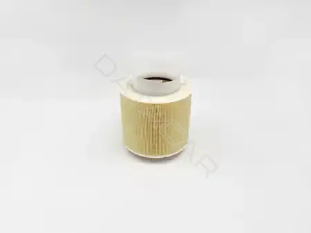 Воздушный фильтр BIG FILTER GB-539