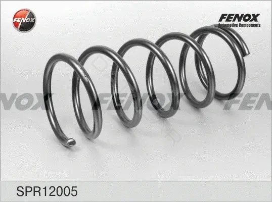 Пружины FENOX SPR12005