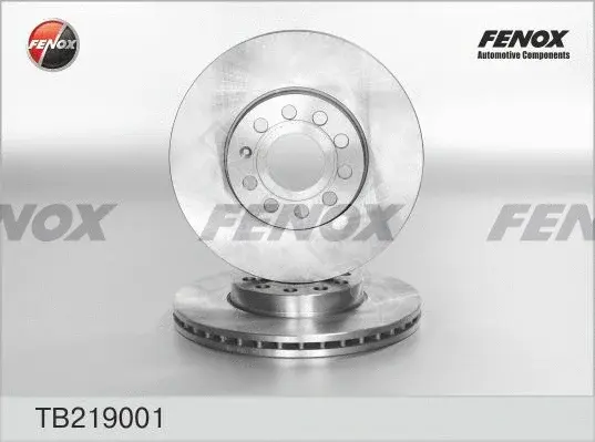 Тормозные диски FENOX TB219001