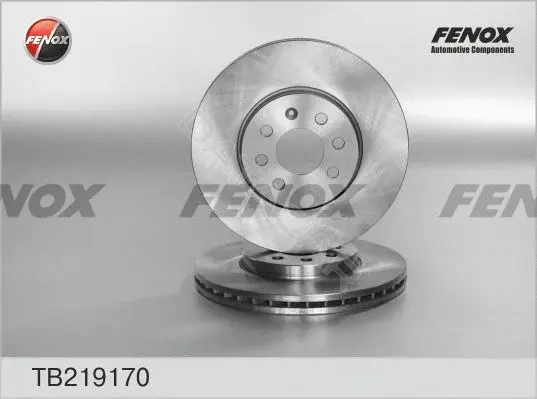 Тормозные диски FENOX TB219170