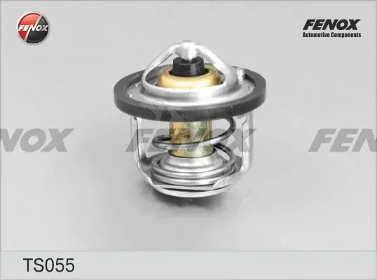 Термостат FENOX TS055