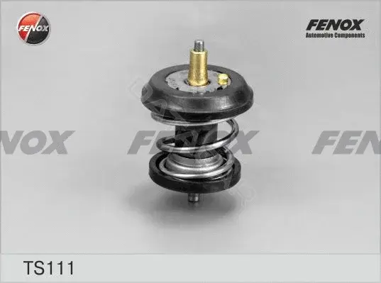 Термостат FENOX TS111