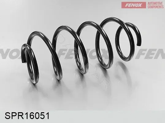 Пружины FENOX SPR16051