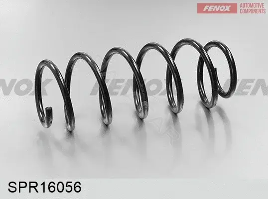 Пружины FENOX SPR16056