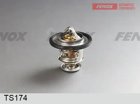 Термостат FENOX TS174