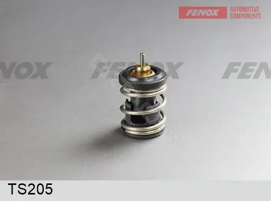 Термостат FENOX TS205