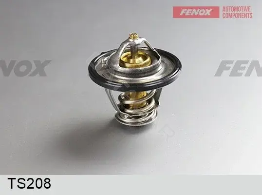Термостат FENOX TS208