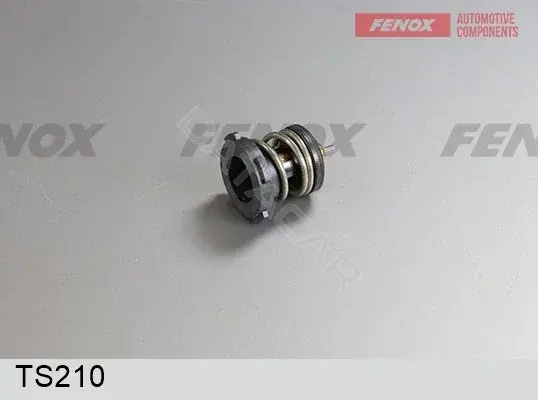 Термостат FENOX TS210