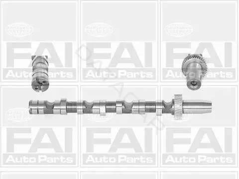 Распредвал FAI AutoParts C245