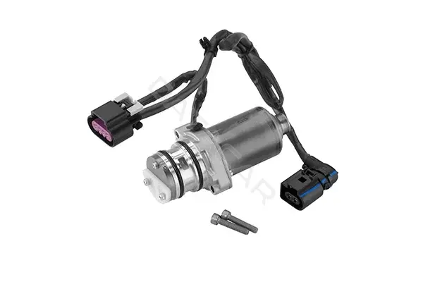 Масляный насос BorgWarner DS2004444
