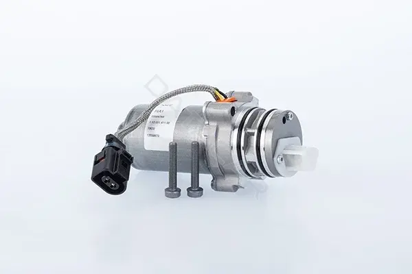 Масляный насос BorgWarner DS4601410015