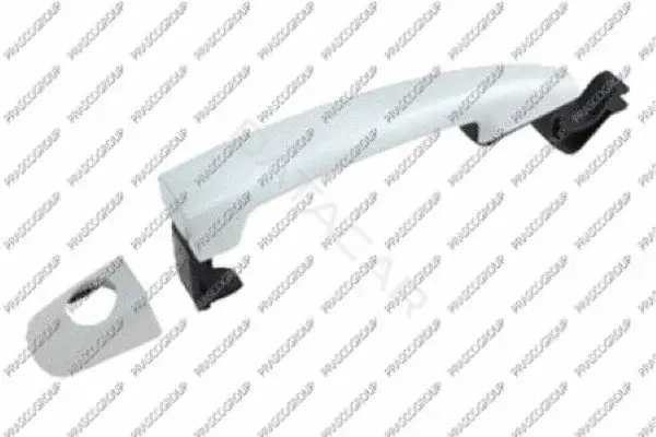 Ручка двери PRASCO CI5238004