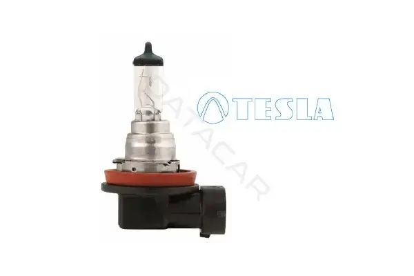 Лампочки TESLA B11601