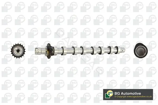 Распредвал BGA CS5531
