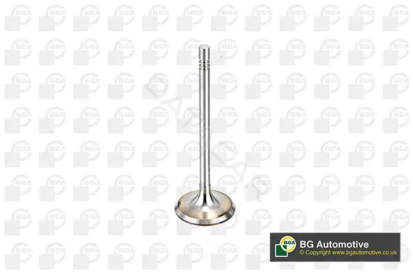 Впускной клапан BGA V164520