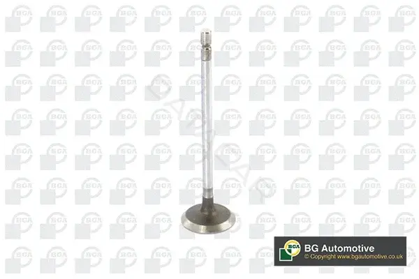 Впускной клапан BGA V123002