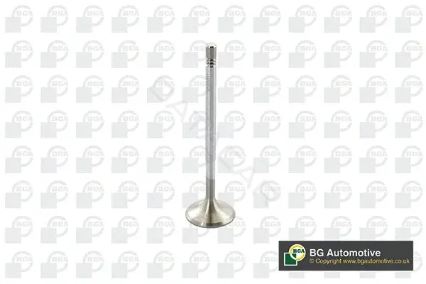 Впускной клапан BGA V560011
