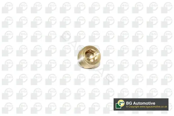 Пробка сливная масляного поддона BGA PK2202