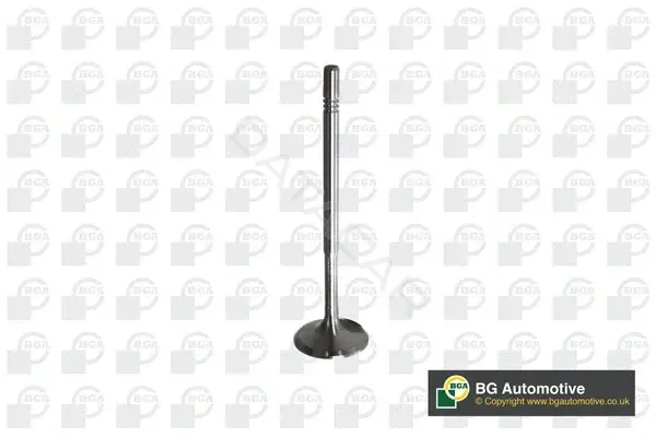 Впускной клапан BGA V560013