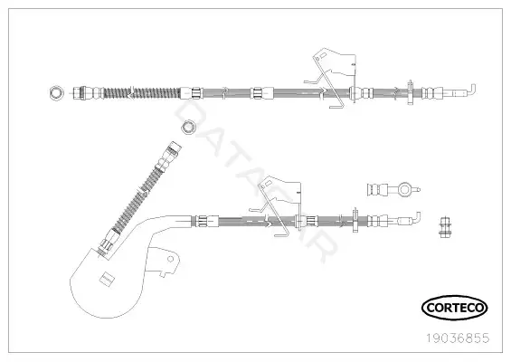 Тормозные шланги CORTECO 19036855