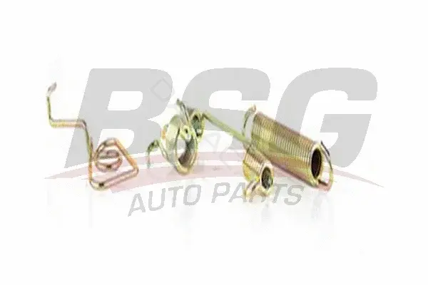 Пружина тормозных колодок BSG BSG30-260-006