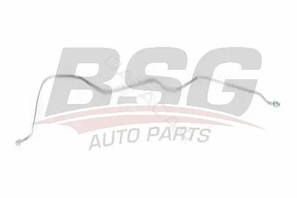 Тормозные шланги BSG BSG30-725-069